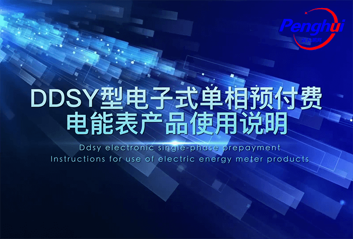 鵬輝DDSY電子式單相預(yù)付費(fèi)電能表使用說(shuō)明